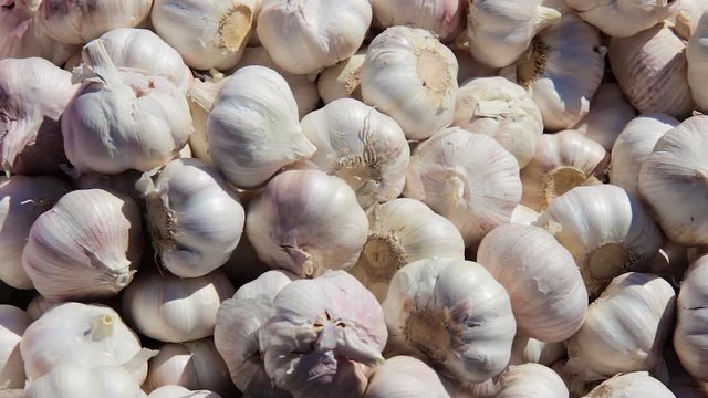 garlic on the market
