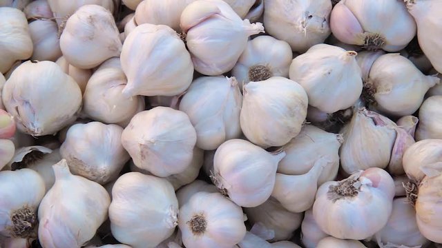garlic in the market