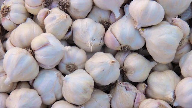 Freshly picked garlic on market.