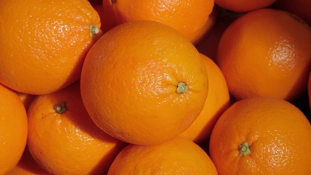 Sweet oranges close up. Fruit to celebrate.
