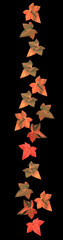 Vine leaves margin decor in Living Coral color
