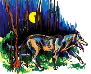 The wolf runs through the night forest. Night sky. Multicolored drawing. Wolf, Husky.