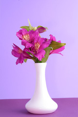 Alstroemeria on a purple background with white vase