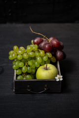 fruit stilllife