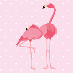 elegant flamingo birds couple dotted background