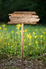 Blank old wooden sign outside in spring time