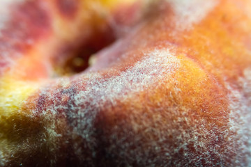 Close-Up Of A Delicious, Juicy, Peach