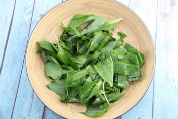 Salade d'ail des ours