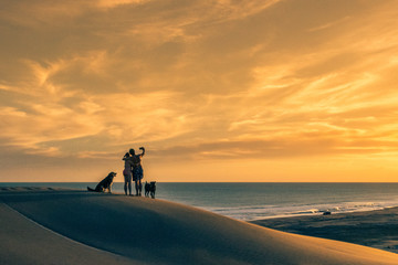 Fototapeta na wymiar Silhouette of a couple with two dogs on top of a dune at sunset