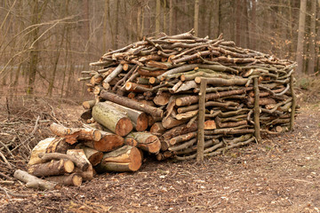A pile of wood in the forest. Wood prepared for export.