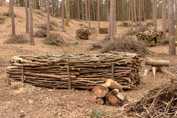 A pile of wood in the forest. Wood prepared for export.