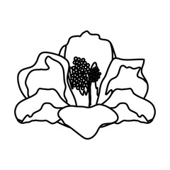 beautiful flower decorative icon