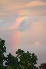 Rainbow #3