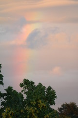 Rainbow #2