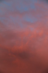 Pink Sky #3