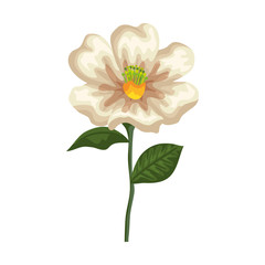 beautiful flower decorative icon