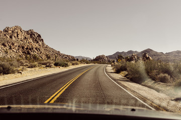 Joshua Tree