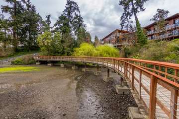 Fototapeta premium Walkway over low tide