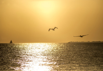 Silhouettes of birds flying over water into a golden sky.