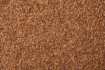 Buckwheat texture background premium buckwheat groats