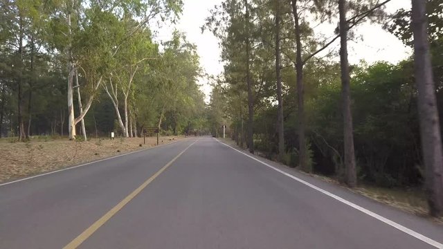 Driving along a beautiful beachside road full of tall trees in Hua Hin Thailand