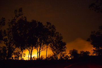 a bushfire, forest is really bright because of the fire, litchfield national park, australia