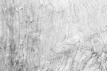 Table top view of wood texture in white light natural color background. Grey clean grain wooden floor birch panel backdrop with plain board pale detail streak finishing for chic space clear concept.