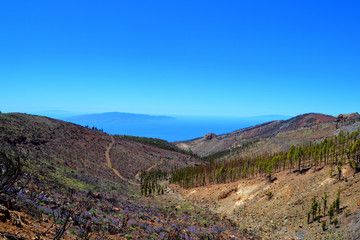 Mountain valley in La Esperanza, Tenerife, Canary Islands, Spain. A panoramic view of 3 islands: El Hierro, La Gomera and La Palma. Spring. 