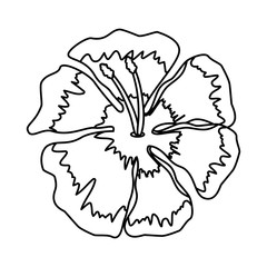 beautiful flower decorative icon