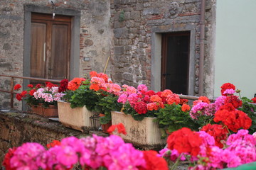 Flowers planters doorway tuscany Italy