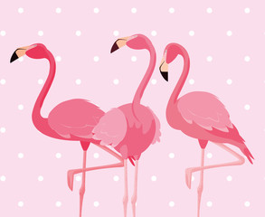 flock of elegant flamingos birds dotted background