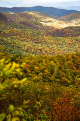 blue ridge and smoky mountains changing color in fall