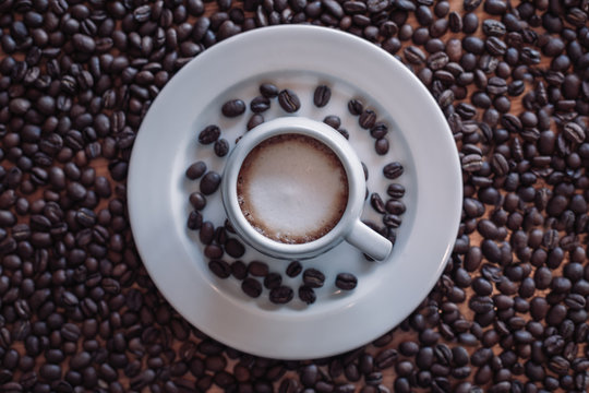 Coffee beans © Anna