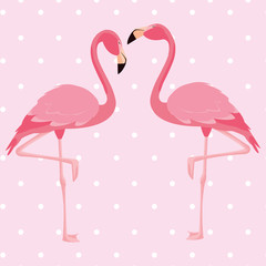 elegant flamingo birds couple dotted background