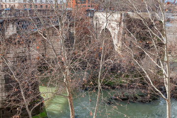 branches of trees and river water in the city 
