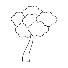 Tree with autumn leaves black and white