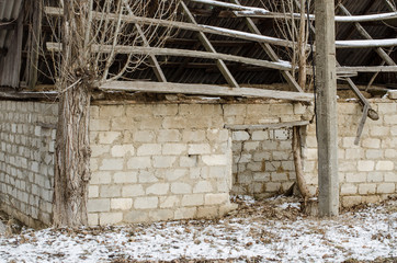 naked field in winter season