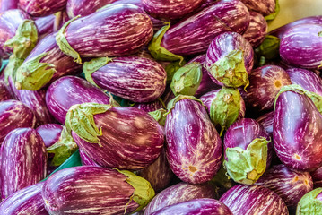 Fototapeta na wymiar A pile of purple and white striped eggplants