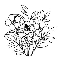 beautiful flowers and leafs decoration