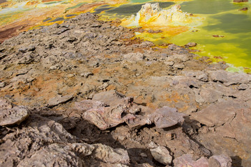 Landscape in Danakil