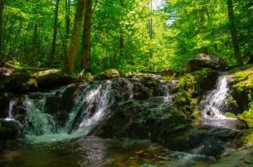 Small Waterfall in Shenandoah national park 