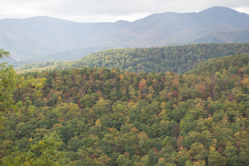 blue ridge and smoky mountains changing color in fall