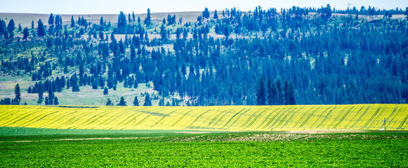nature and landscapes in spokane reservation near spokane columbia  river