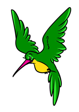 Little hummingbird bird animal character cartoon illustration isolated image 