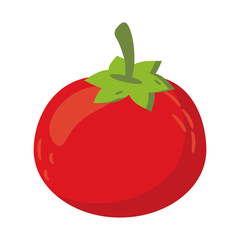 Tomato vegetables fresh food