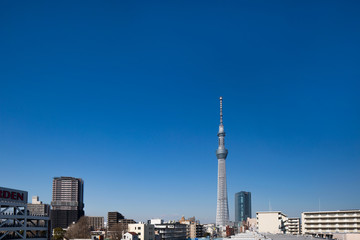 Fototapeta premium 東京スカイツリーと住宅街