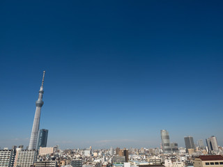 Fototapeta premium 東京スカイツリーと住宅街