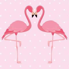 elegant flamingo birds couple dotted background