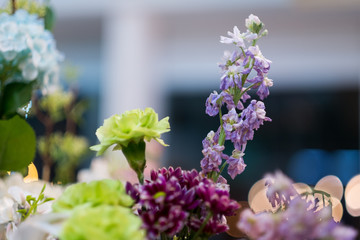 selective focus flower.