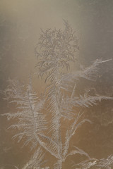 frosty pattern on the glass, beautiful pattern